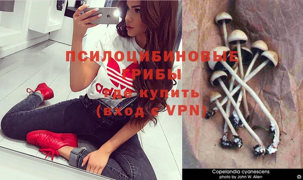 MDMA Корсаков