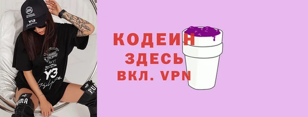 дживик Костерёво