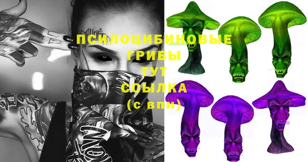дживик Костерёво