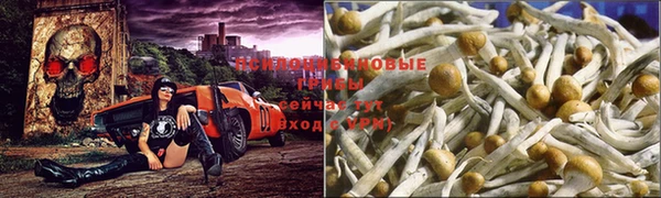 MDMA Корсаков