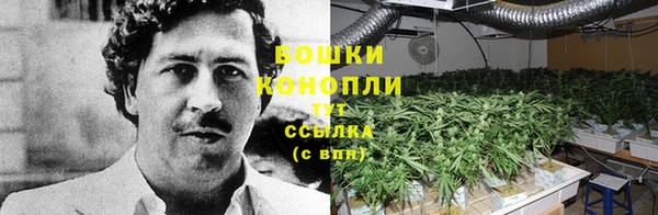 ALPHA PVP Коряжма