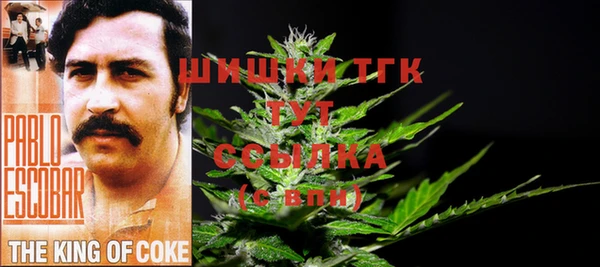 дживик Костерёво