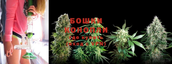 дживик Костерёво