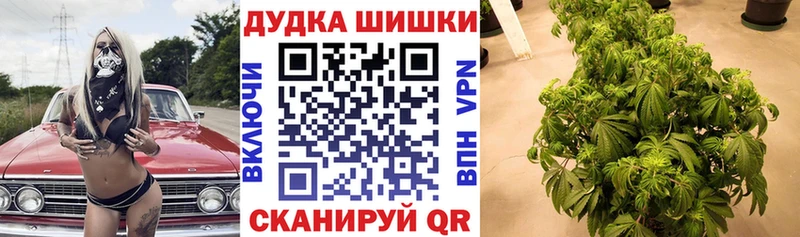 Купить закладки  Белинский  Канабис Amnesia 
